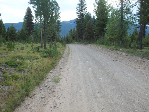 GDMBR: We're eastbound on NF-477, MT, enjoying the 'Flats'.